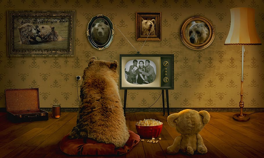 brown bear watching on black CRT TV, teddy, television, coziness