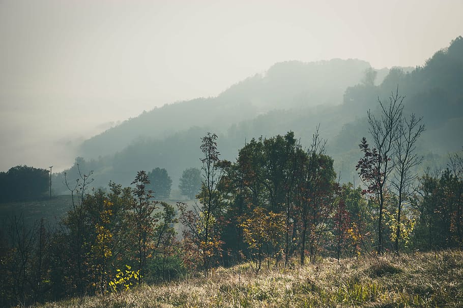 fog, grass, hill, landscape, mist, mountain, nature, outdoors HD wallpaper