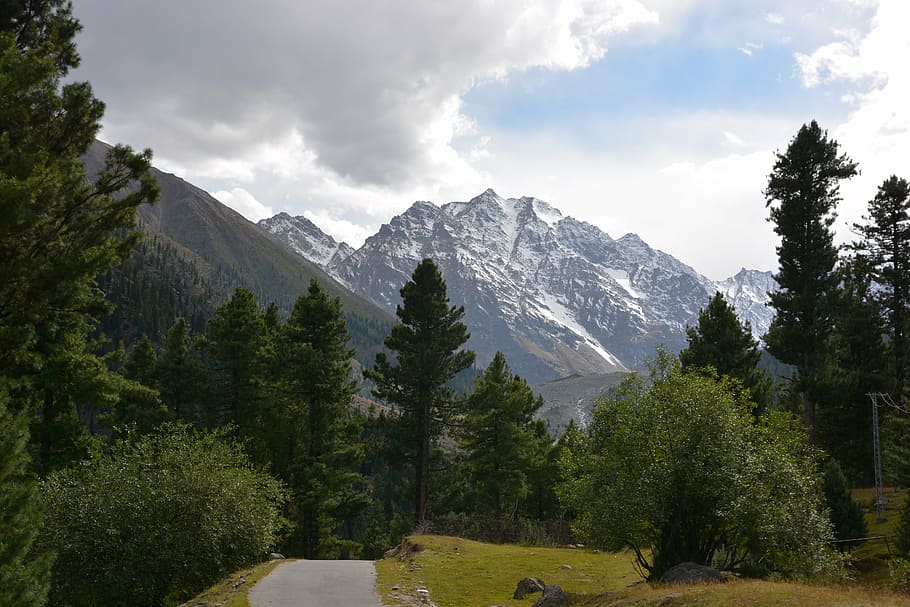 trees, mountain, landscape, nature, scenery, clouds, sky, plant HD wallpaper