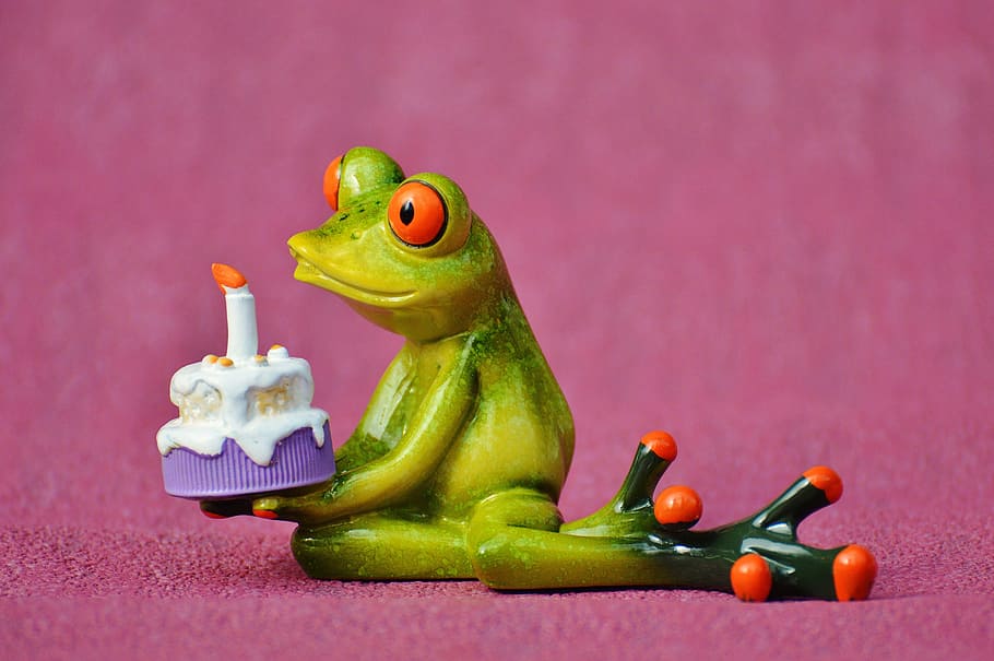 frog holding cake photography, happy birthday, greeting, greeting card, HD wallpaper