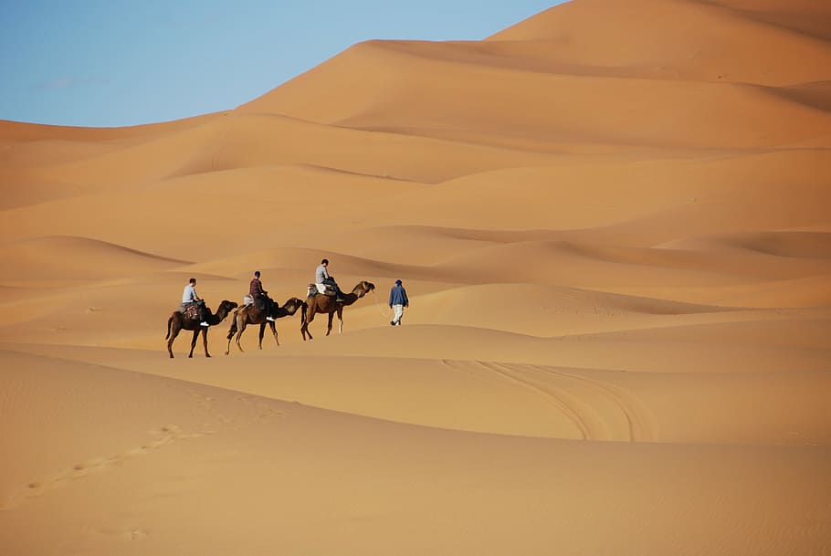three men riding horse on desert land, sand, dunes, morocco HD wallpaper