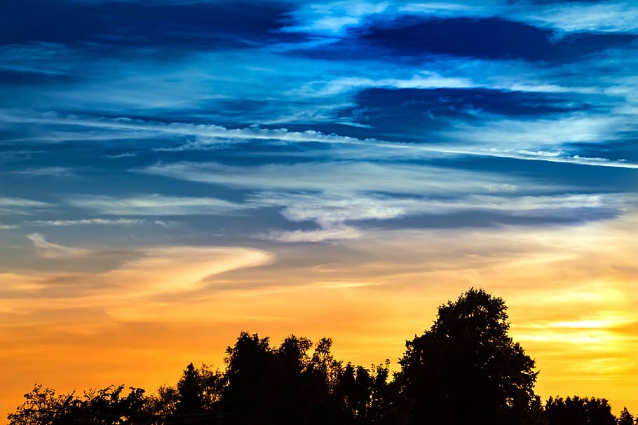 silhouette photo of tress under white sky, sunset, clouds, abendstimmung HD wallpaper