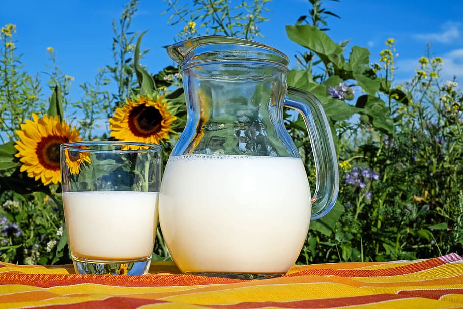 two clear glass pitcher and drinking glasses near sunflower, milk, HD wallpaper