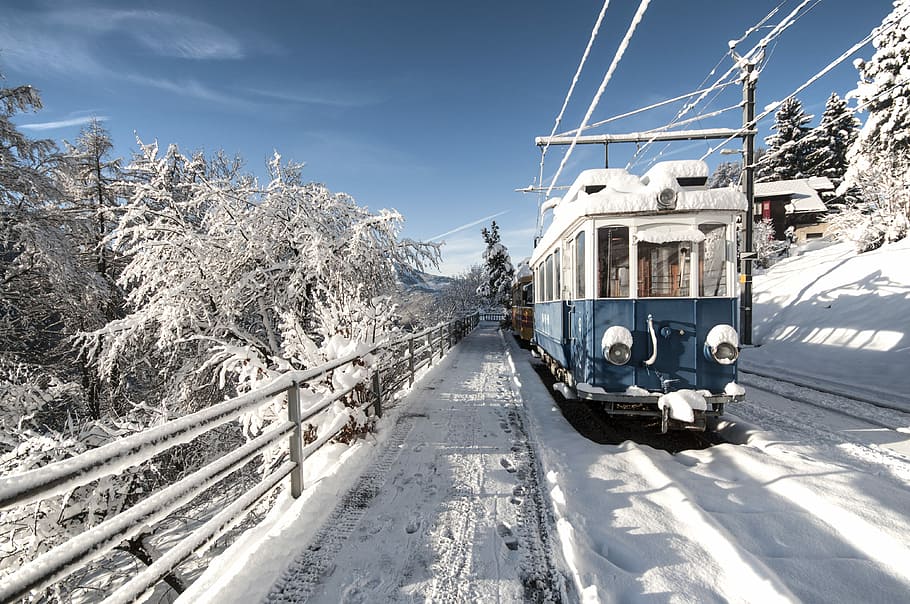 snow covered rail train, blue and white train covered with snow HD wallpaper