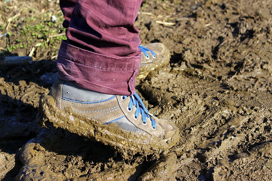 person wearing blue-and-brown shoes 