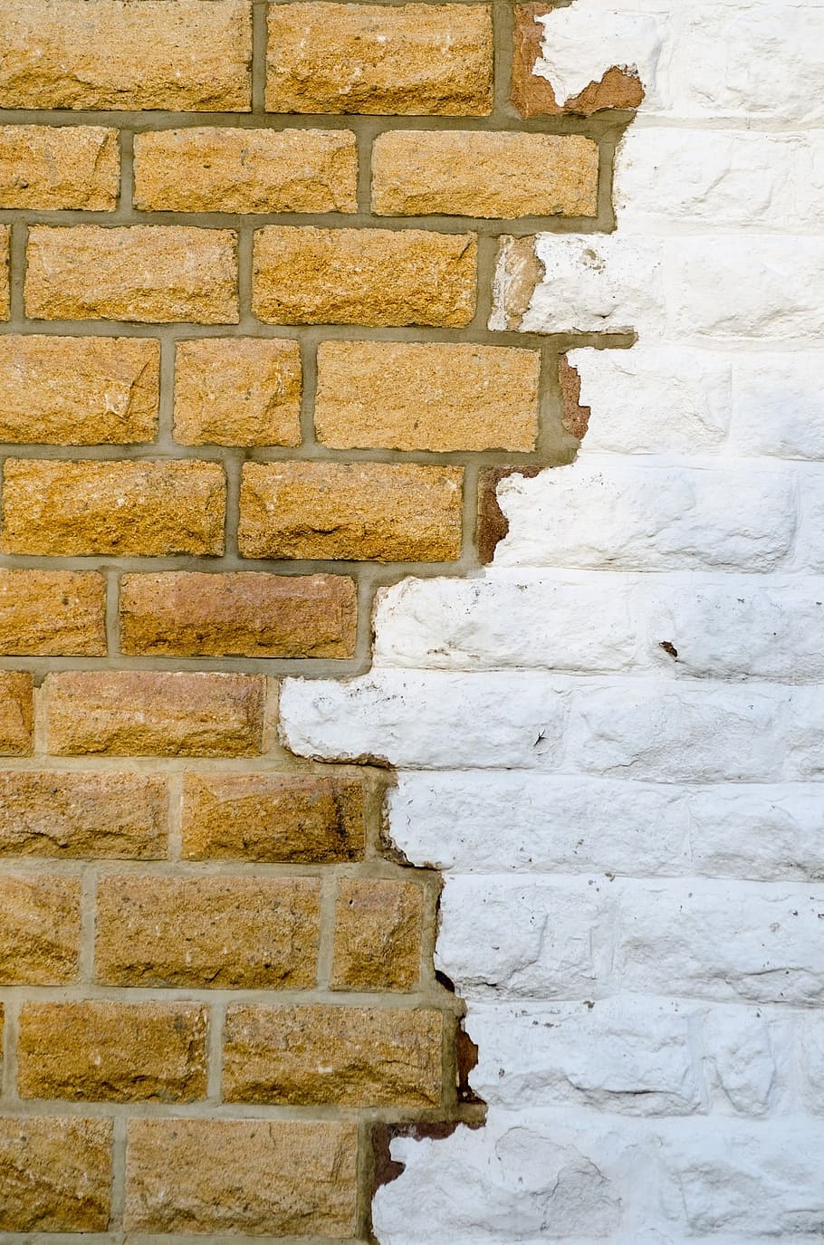 wall, brick, background, architecture, wallpaper, color, facade HD wallpaper
