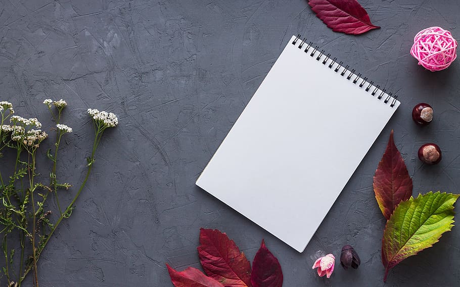 white notebook near white flowers, leaves, paper, work, office