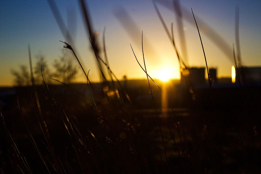 Sunset, landscape, nature, dusk, sunlight, summer, outdoors, sky HD wallpaper