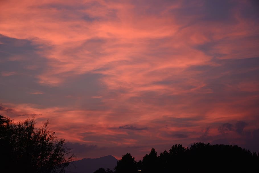 sunset, lucca, tuscany, sky, colors, cloud - sky, tree, beauty in nature HD wallpaper