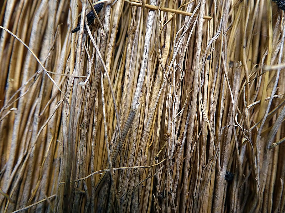 broom, nature, tool, full frame, backgrounds, dry, plant, no people HD wallpaper