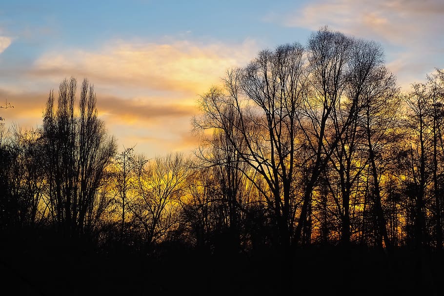Landscape, Sunset, Nature, Sky, evening sky, afterglow, landscapes HD wallpaper