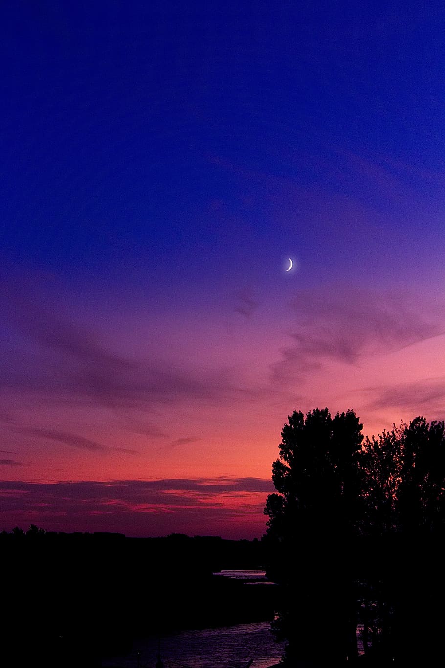silhouette of trees under blue and orange sky, moon, sunset HD wallpaper