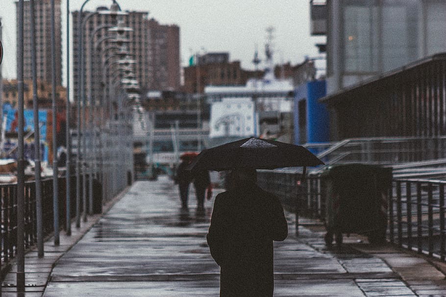 person under umbrella, woman wearing black jacket holding a umbrella