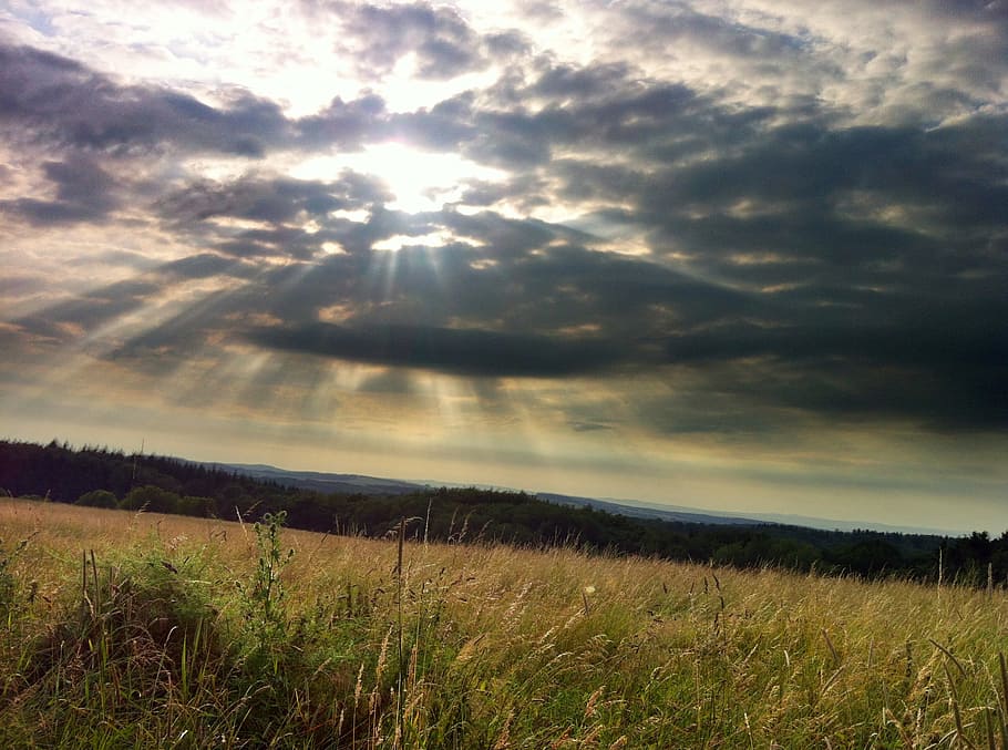 clouds, field, summer, sky, landscape, nature, sunshine, sunset HD wallpaper