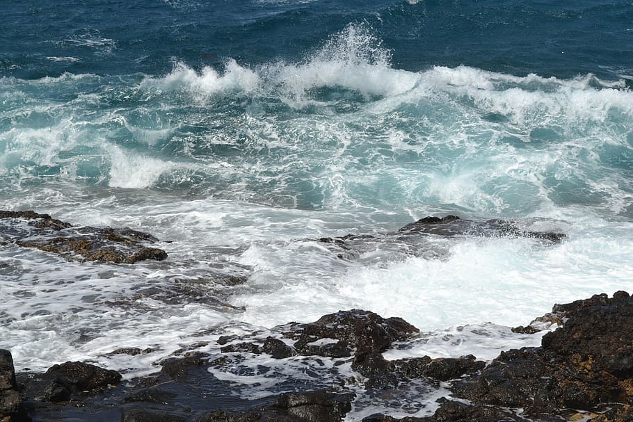 sea, wave, surf, blue, ocean, coast, nature, coastline, water HD wallpaper