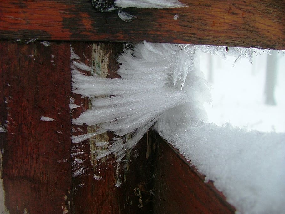 ice beard, rime, winter, frost, forest, water, nature, beech mountain HD wallpaper