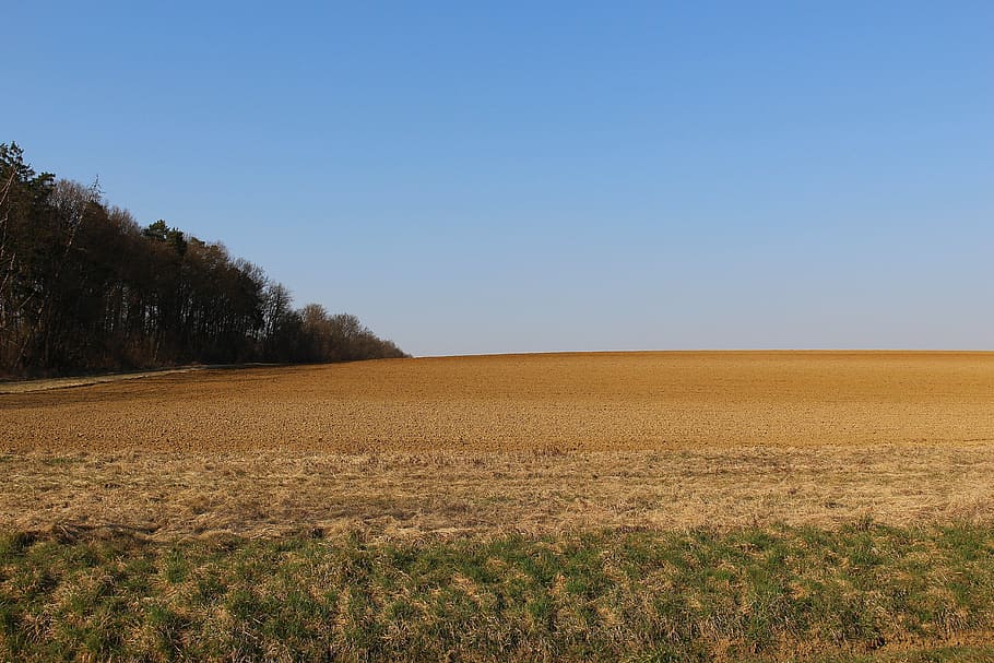 Field, Arable, Subsoil, Landscape, agriculture, nature, day HD wallpaper