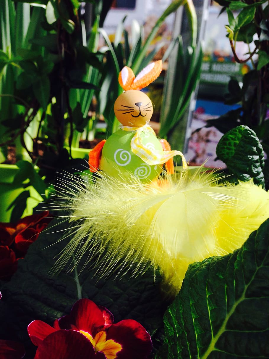 hare, easter, easter bunny, spring, flowers, plant, flowering plant HD wallpaper