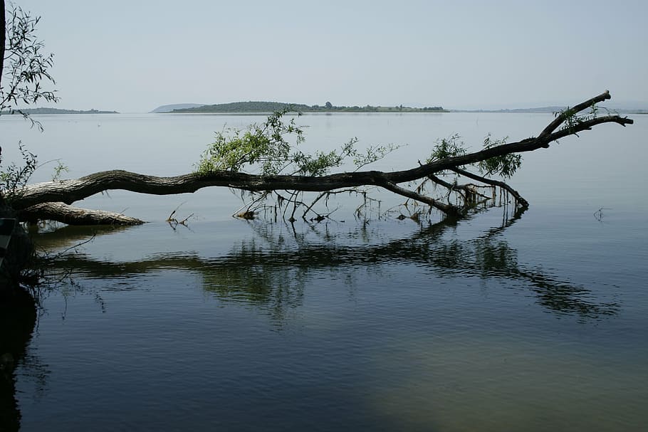 lacquer, reflection, water, nature, sky, tree, tranquility HD wallpaper