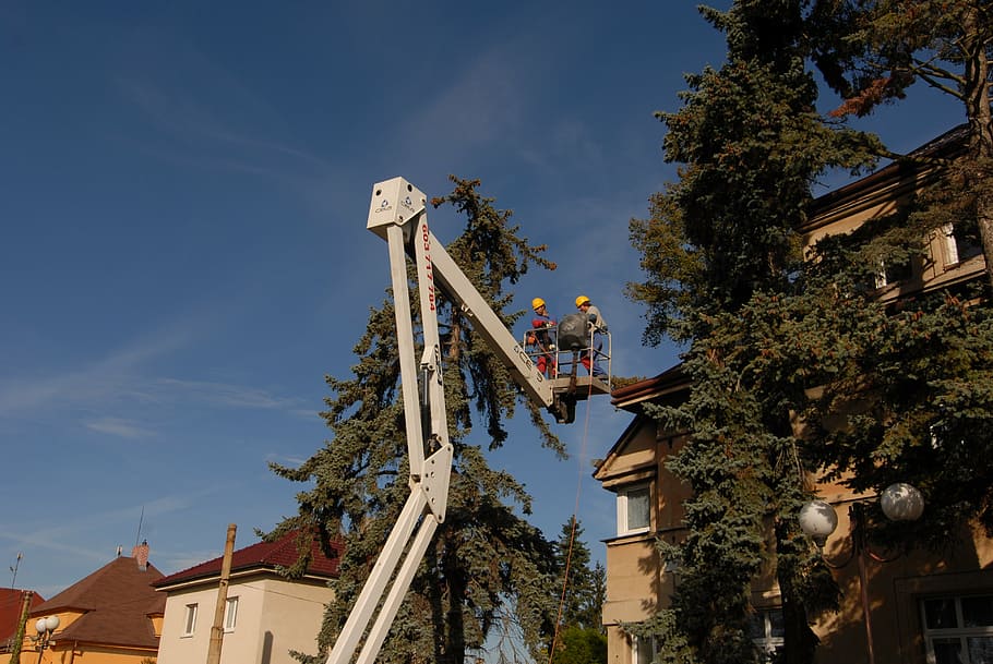 workers, auto arm, platform, fix, energy, trees, house, attic HD wallpaper