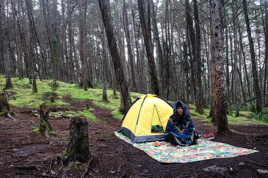 Sdd, Awe, sdejd, camping, tent, outdoors, nature, forest, hiking HD wallpaper