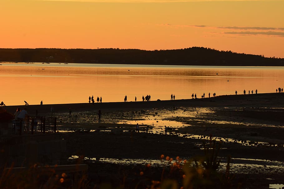 Tide out in Bar Harbor Maine, landscape photo of beach, sunset HD wallpaper