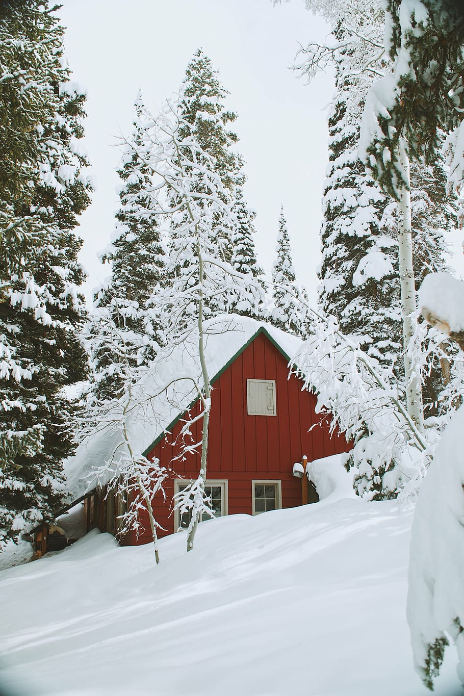 brown house surrounded with snow during daytime, winter, white HD wallpaper