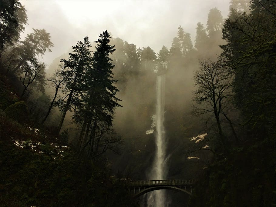 multnomah, oregon, misty, waterfall, river, landscape, outdoor HD wallpaper