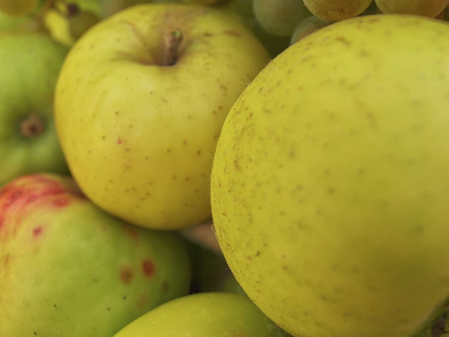 apples, fruit, autumn, healthy eating, food, food and drink HD wallpaper