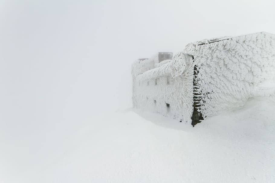 snow coated house miniature against white background, winter HD wallpaper