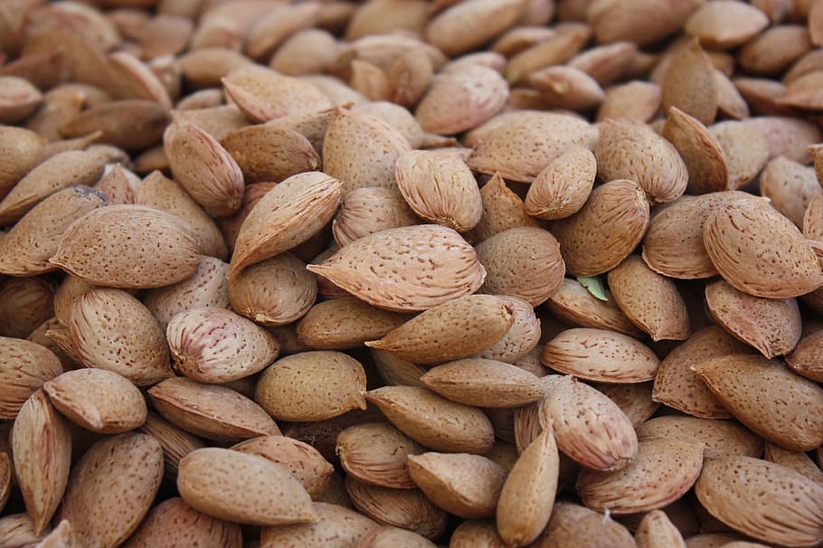 almonds, collection, agriculture, food and drink, large group of objects HD wallpaper
