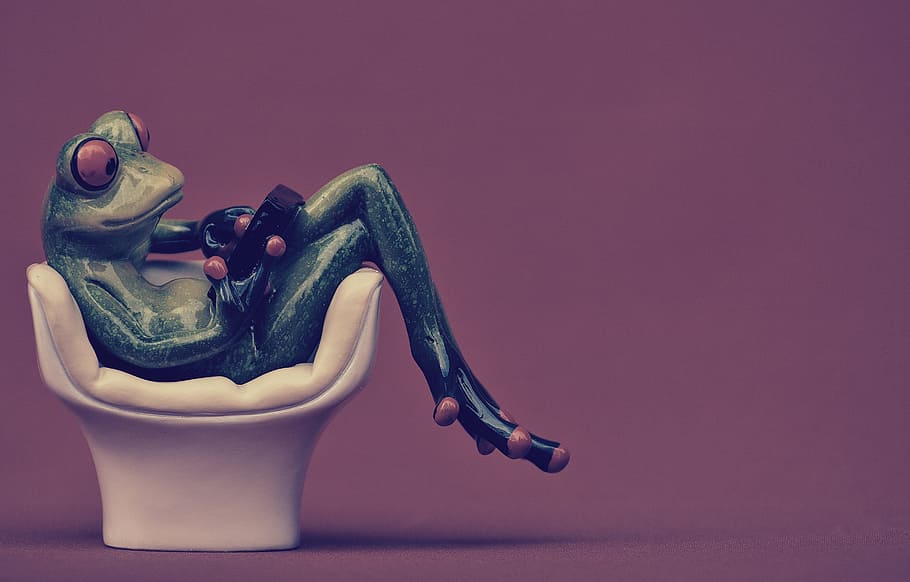 frog, chair, cozy, tablet, pc, computer, cute, sweet, funny, HD wallpaper