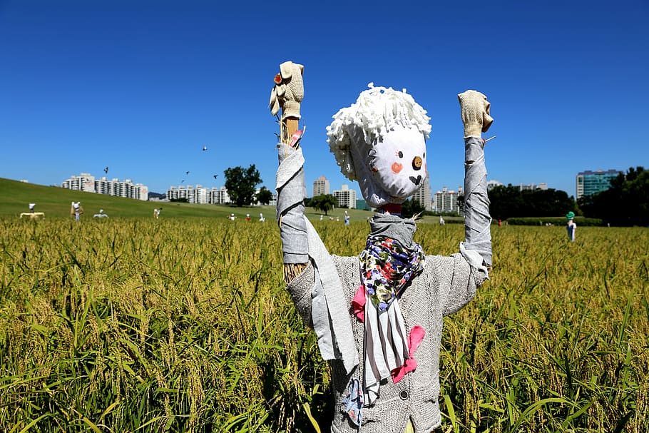 the scarecrow, sky, spring, field, landscape, nature, plant HD wallpaper