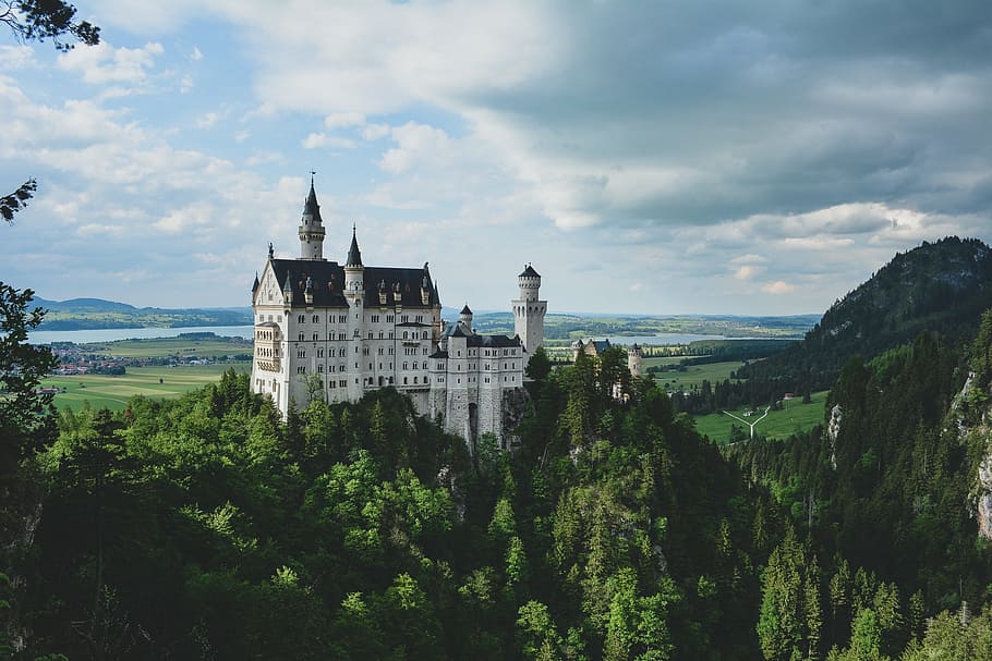 Neuchwanstein Castle, Germany, neuschwanstein, hillside, trees HD wallpaper