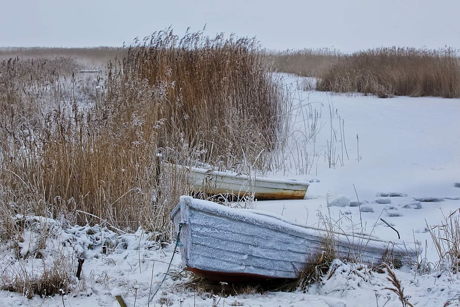 Winter, Snow, Wintry, Boot, Reed, rowing boats, cold temperature HD wallpaper