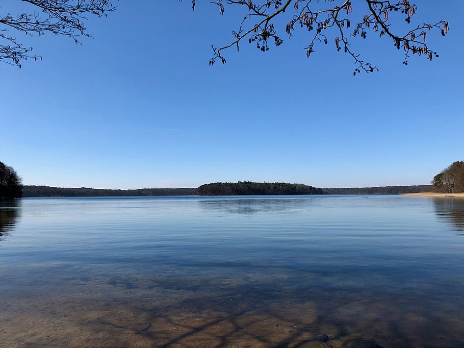 waters, nature, sky, reflection, tree, landscape, lake, stechlinsee HD wallpaper