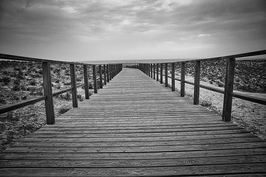 beach, path, lonesome, sea, ocean, coast, the way forward, direction HD wallpaper