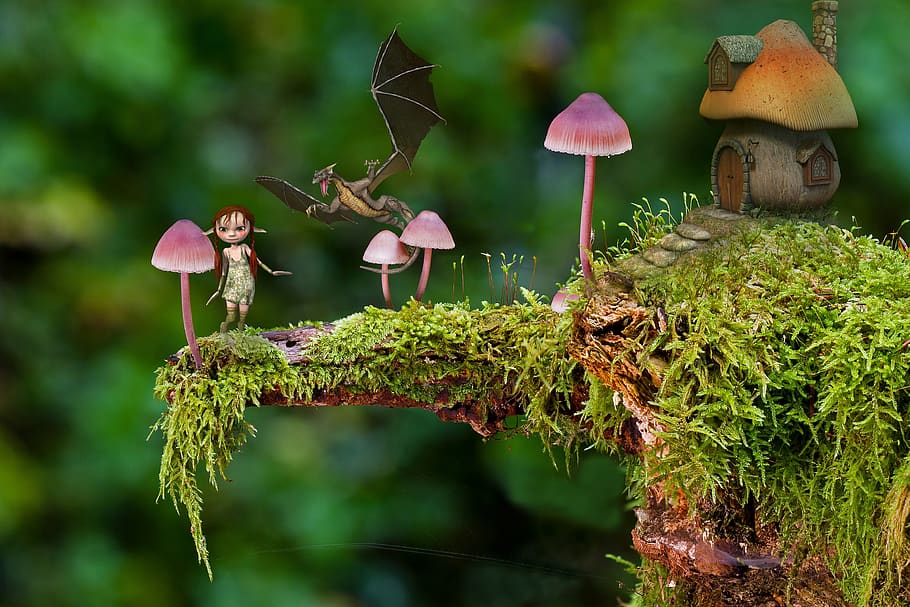 Download Mushrooms Fungi Forest RoyaltyFree Stock Illustration Image   Pixabay