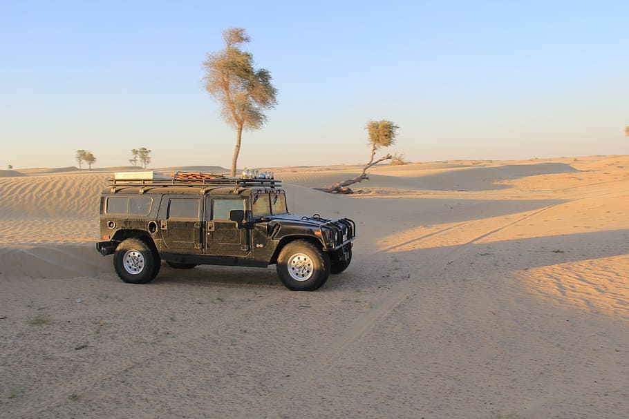 Hummer, H1, Humvee, Auto, hmvee, automobile, desert, outdoors, HD wallpaper