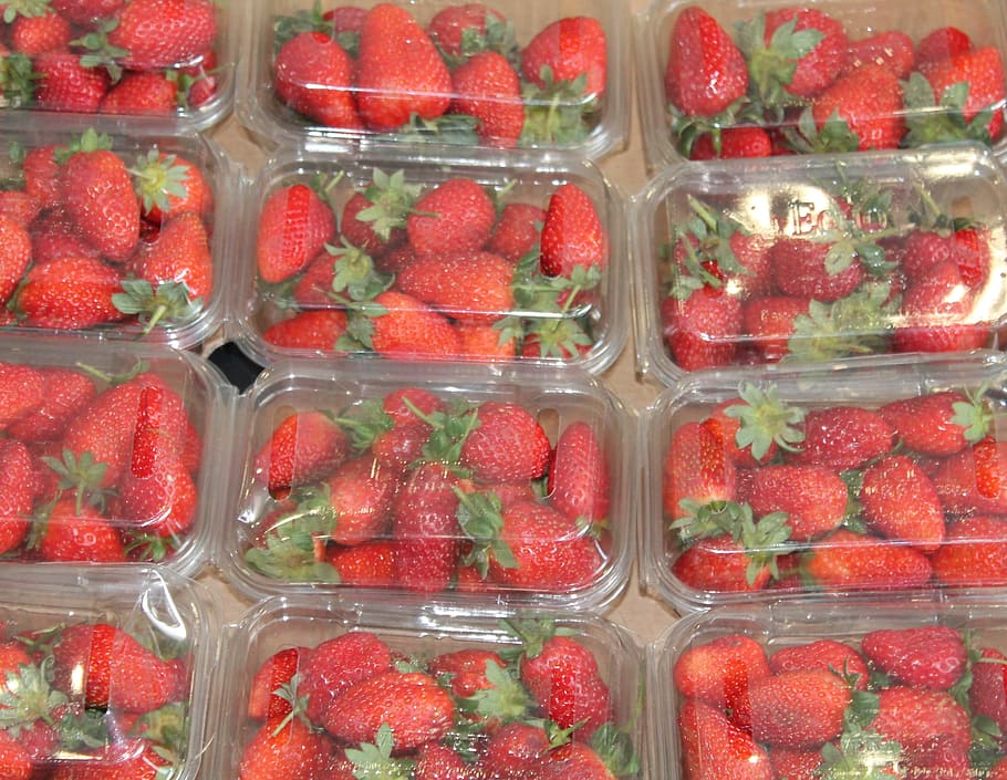 food, fresh, fruit, strawberry, grocery, super market, red HD wallpaper
