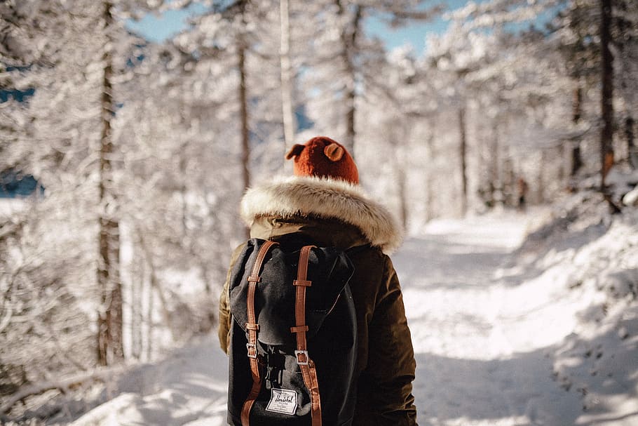 person walking on forest trail covered with snow, person wearing parka jacket standing on snow covered road surrounded by trees during daytime HD wallpaper