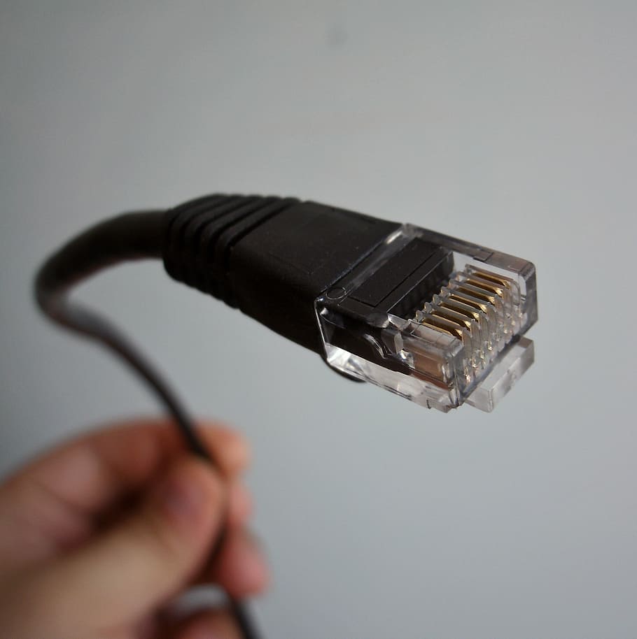black ethernet cable, network cable, networking, business, communication HD wallpaper