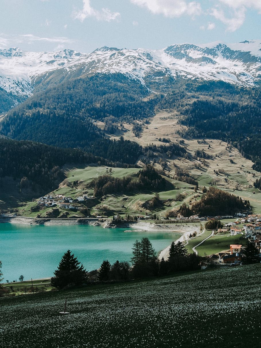 mountain covered with snow and lake water view during daytime, black and green tree near body of water HD wallpaper