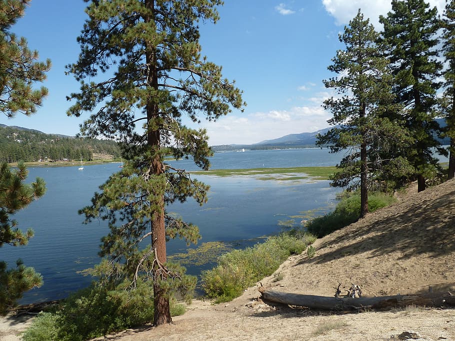 big bear, lake, forest, rocks, rock formation, outdoors, mountains HD wallpaper
