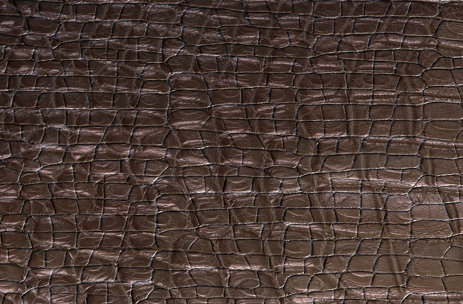 texture, cook, surface, skin, cracked, backgrounds, full frame HD wallpaper