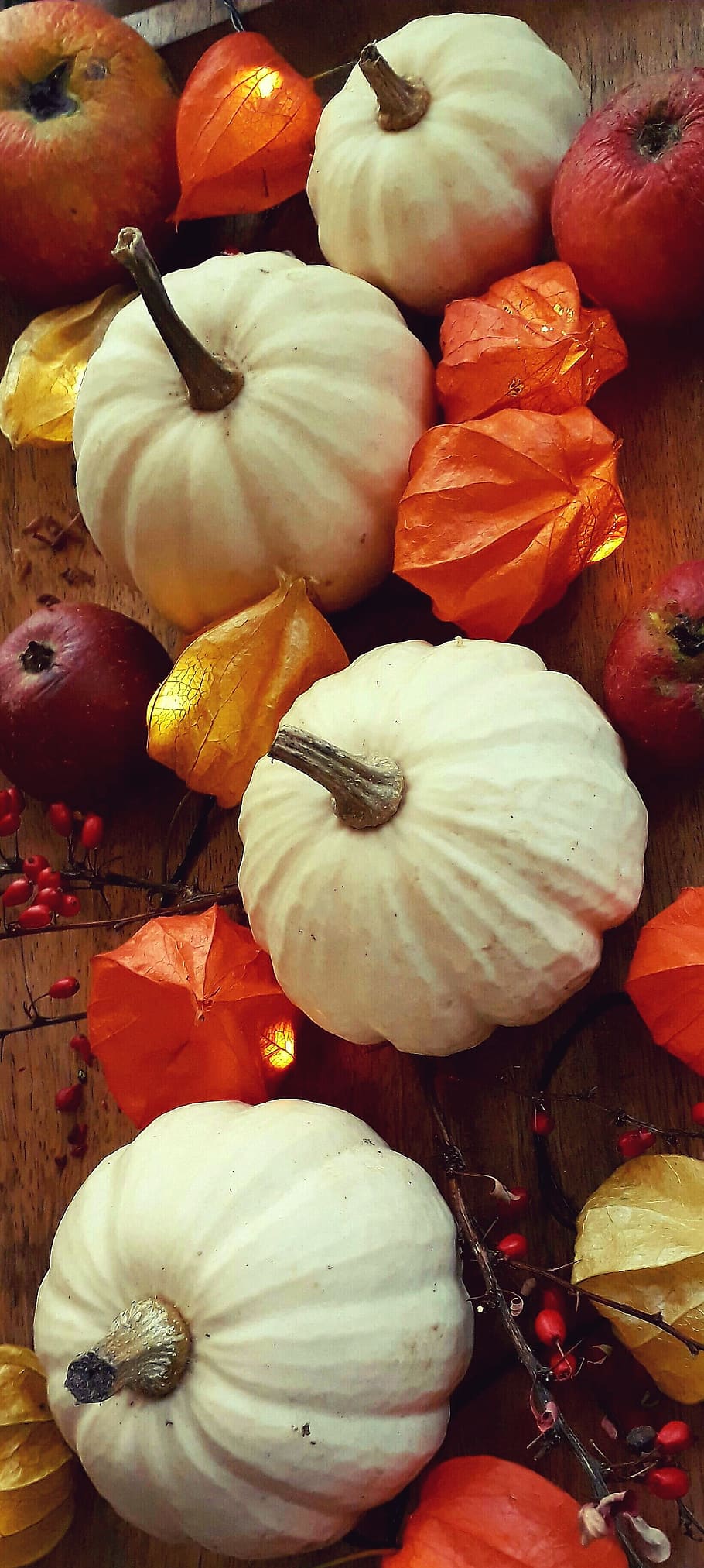 pumpkin, physalis, apple, barberry, decoration, autumn, light, HD wallpaper