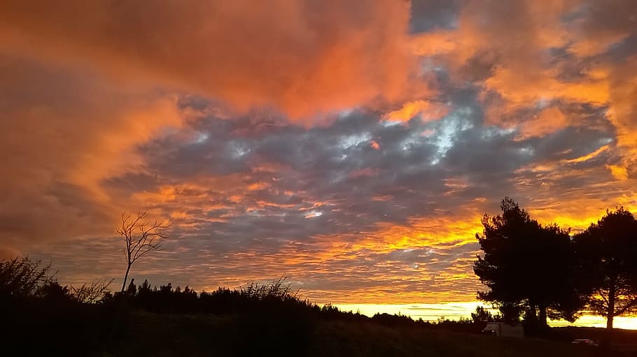morning, sky, cloudy, sunset, nature, dusk, outdoors, sunlight HD wallpaper