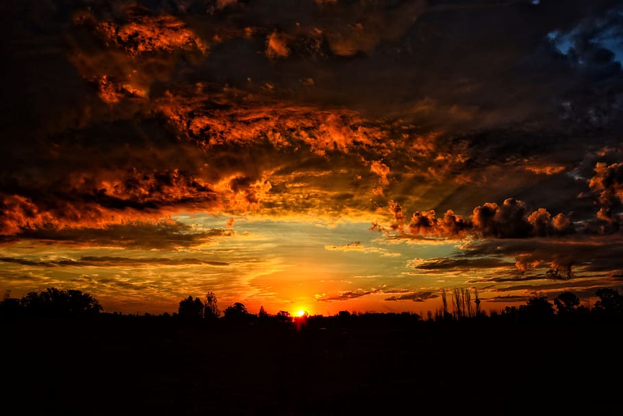 silhouette of tree under sky, Landscape, Sunset, Clouds, orange sky HD wallpaper