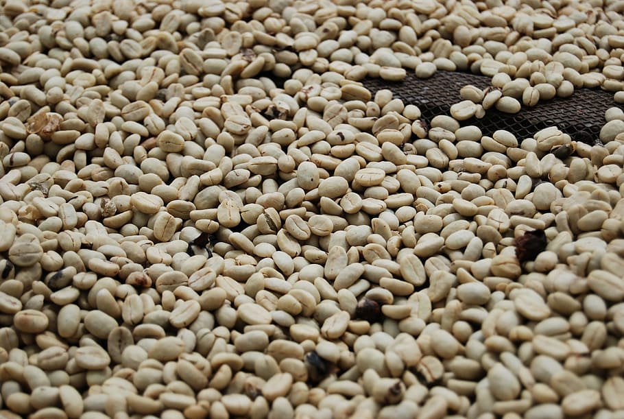 coffee grains, roasted coffee, food and drink, large group of objects HD wallpaper