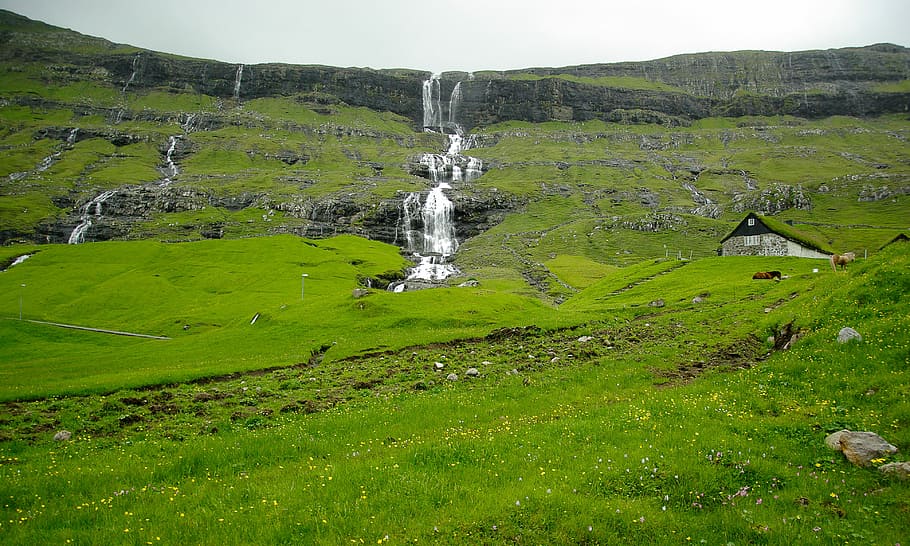 Faroes, Cascades, Pastures, Cliffs, water, green color, grass HD wallpaper